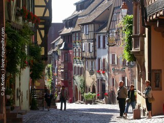 Vakantieappartement Riquewihr Omgeving 15