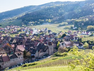 Vakantieappartement Riquewihr Omgeving 17