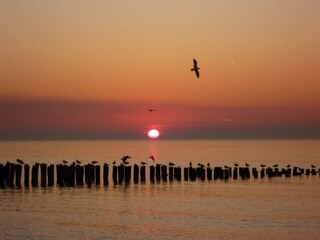 Strand Domburg