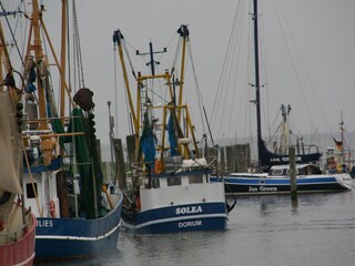 Kutter- und Yachthafen in Dorum-Neufeld