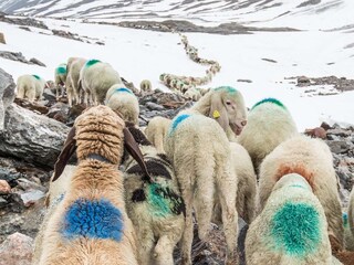 Appartement de vacances Naturns Environnement 25