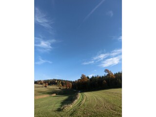 Casa de vacaciones Maroldsweisach Entorno 20