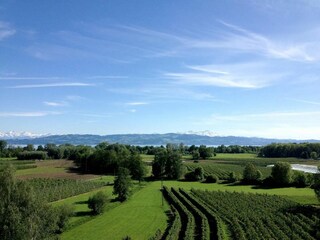 Apartamento de vacaciones Kressbronn am Bodensee Grabación al aire libre 4
