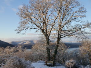 Ferienwohnung Friedrichs mit Seeblick Pfingstnelke - Waldeck - image1