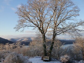 Ausblick im Winter