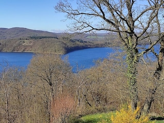 Blick auf den See im Frühjahr