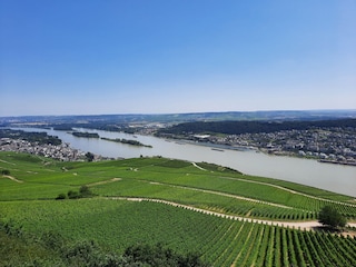 Rheintal bei Bingen, Ausblick von Niederwalddenkmal