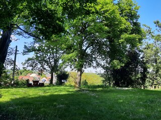 Sitzplatz mit Aussicht am Burgfried