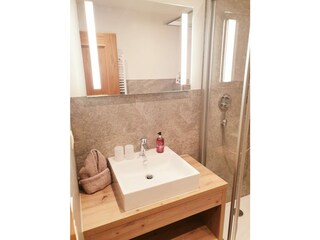 Appartamento per vacanze Zillertal Caratteristiche 17