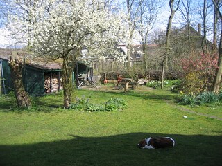 Vakantieappartement Groet Omgeving 7