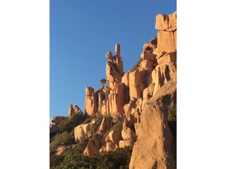 Il gatto - die Katze