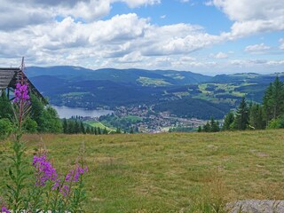 Hochfirst mit Blick auf den Titisee