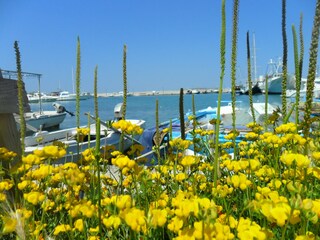 Villa Nin Ambiente 17