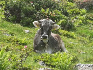 Casa per le vacanze Auffach Ambiente 26