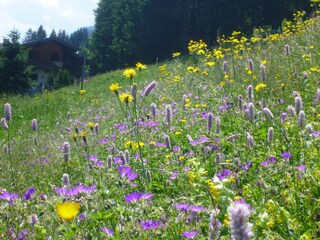 Casa per le vacanze Auffach Documento 32