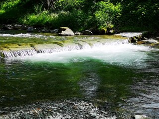 Wunderschöner Wildbach gleich nebenan, 100m. Naturspaß.