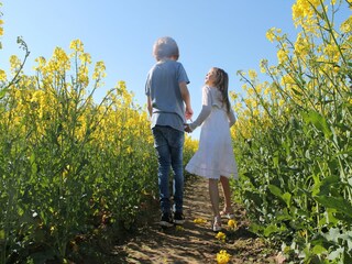 Casa de vacaciones Damshagen Entorno 24