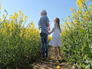 Vakantiehuis Damshagen Omgeving 24