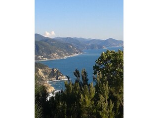 Holiday apartment Moneglia Environment 25