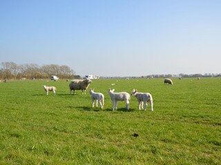 Casa per le vacanze Den Burg Ambiente 22