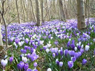 Casa per le vacanze Den Burg Ambiente 23