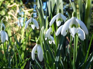 Casa per le vacanze Den Burg Ambiente 24