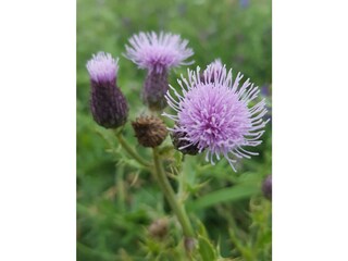 Casa per le vacanze Den Burg Ambiente 26