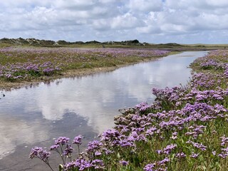 Casa per le vacanze Den Burg Ambiente 27