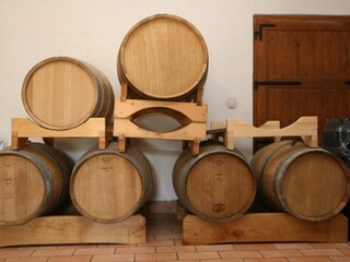 Casa de vacaciones Trget Entorno 21