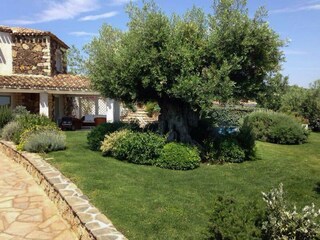 Villa Castiadas Registrazione all'aperto 3