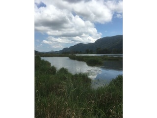 Naturschutzgebiet Bleistätter Moor