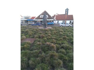 Vakantieappartement Callantsoog Omgeving 31