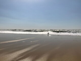 Casa de vacaciones Carcans Entorno 29