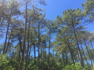 Vakantiehuis Carcans Buitenaudio-opname 9