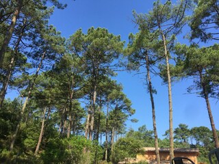 Casa de vacaciones Carcans Entorno 32