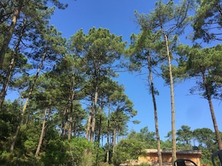 Maison de vacances Carcans Environnement 31