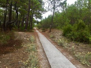 Vakantiehuis Carcans Omgeving 30