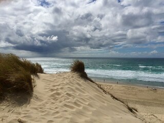 Maison de vacances Carcans Environnement 39