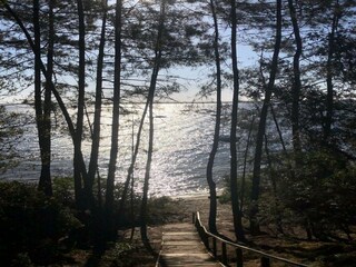 Maison de vacances Carcans Environnement 31