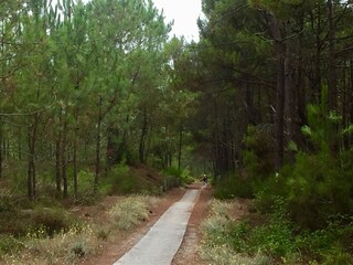 Casa per le vacanze Carcans Ambiente 30