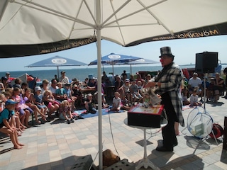 Ferienwohnung Sierksdorf Umgebung 15