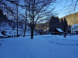 Ferienhaus Wildemann Umgebung 31