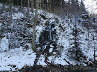 Apartment Wildemann  40