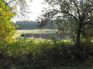 Appartement Wildemann Omgeving 21