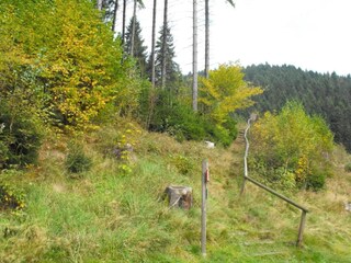 Apartment Wildemann Umgebung 23