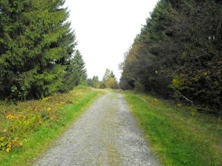 Appartement Wildemann Environnement 32