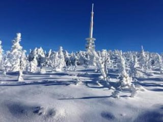 Apartment Wildemann Environment 18