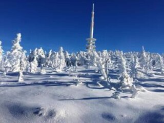 Appartement Wildemann Omgeving 34