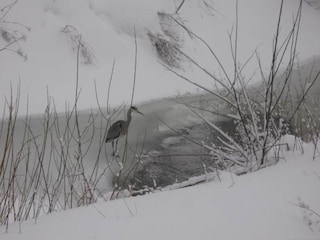 Apartment Wildemann Environment 16