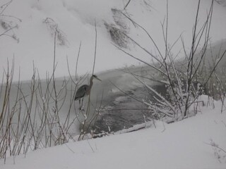 Appartement Wildemann Omgeving 27